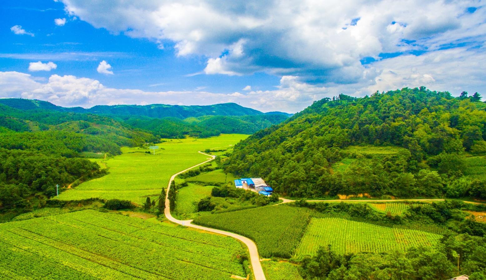 &ldquo;十四五&rdquo;林草規劃圖解