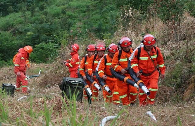 廣東進入森林防火特別防護期 普及推廣&ldquo;防火碼&rdquo;新技術