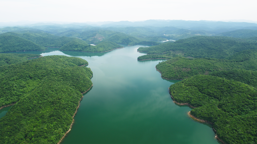 森林&ldquo;四庫&rdquo;系列解讀丨森林是水庫