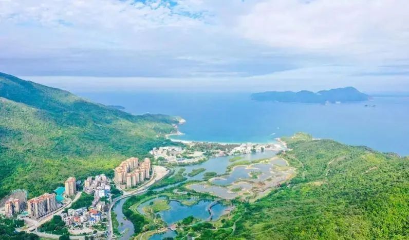 即將對外開放！深圳大鵬新建一紅樹林濕地公園